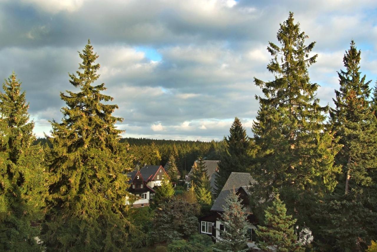 Berghotel Friedrichshöhe Altenberg  Exterior foto